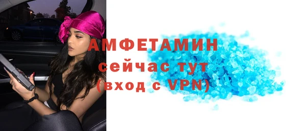 гашик Новозыбков