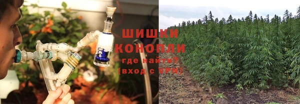 сатива Нефтекумск