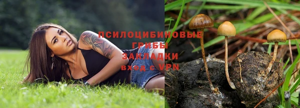 сатива Нефтекумск