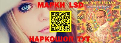 шишки Донской