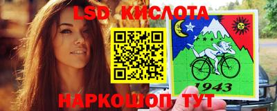шишки Донской