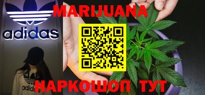 индика Дубна