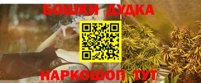 индика Дубна