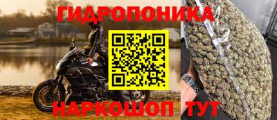 шишки Донской