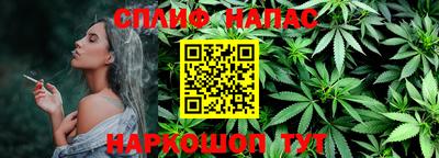 индика Дубна