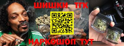 индика Дубна