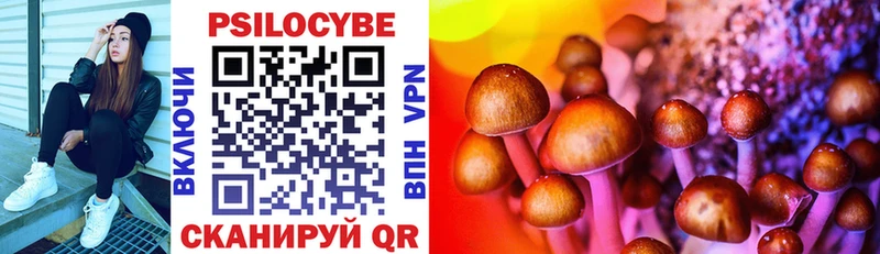 сколько стоит  Старая Купавна  Псилоцибиновые грибы Psilocybine cubensis 