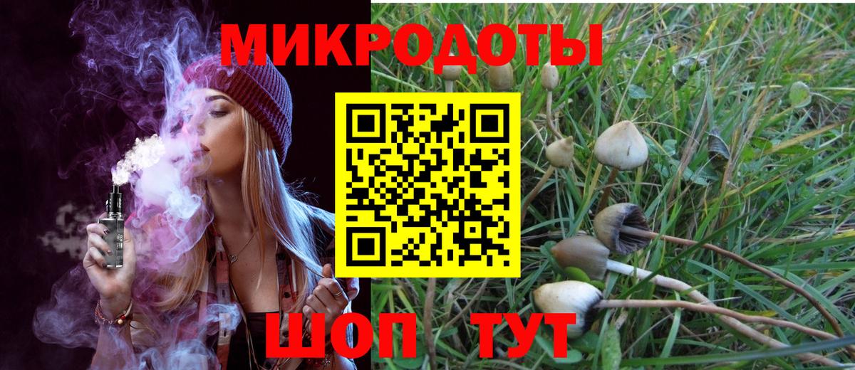 Псилоцибиновые грибы мухоморы  Вход с VPN  Старая Купавна 